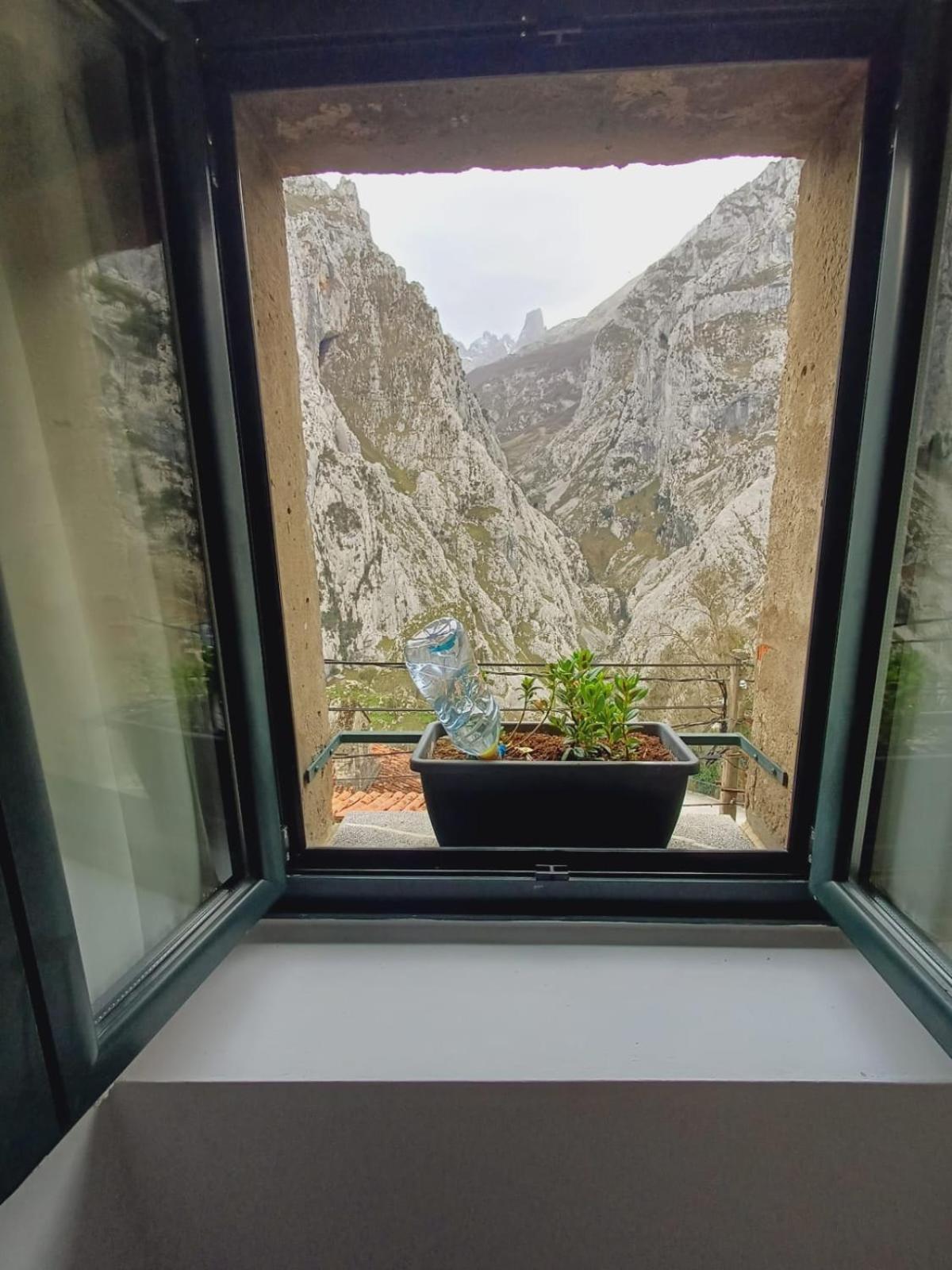 El Portal Del Abuelo Apartment Arenas De Cabrales Luaran gambar